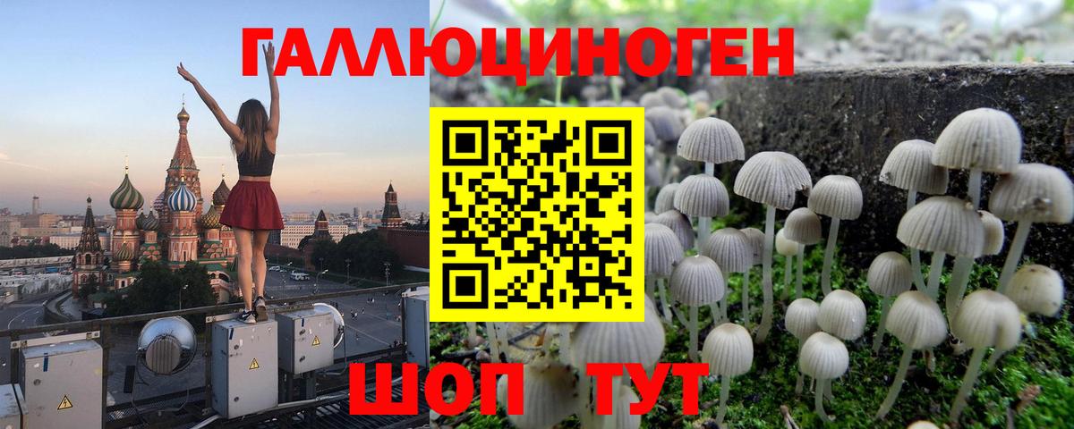 Псилоцибиновые грибы Cubensis Воскресенск